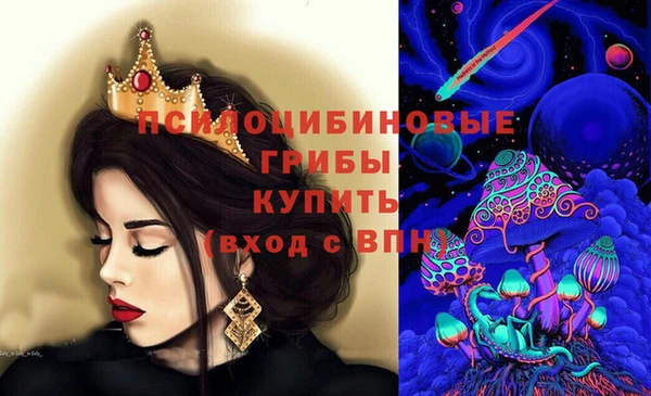гидра Пролетарск