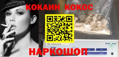 шишки Абакан
