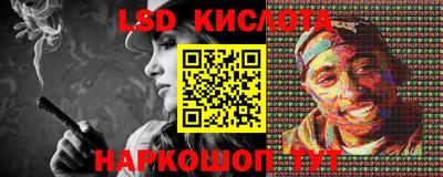 шишки Абакан