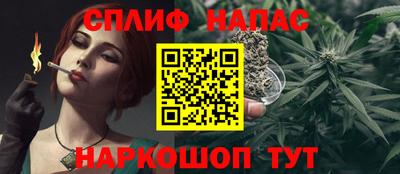 шишки Абакан